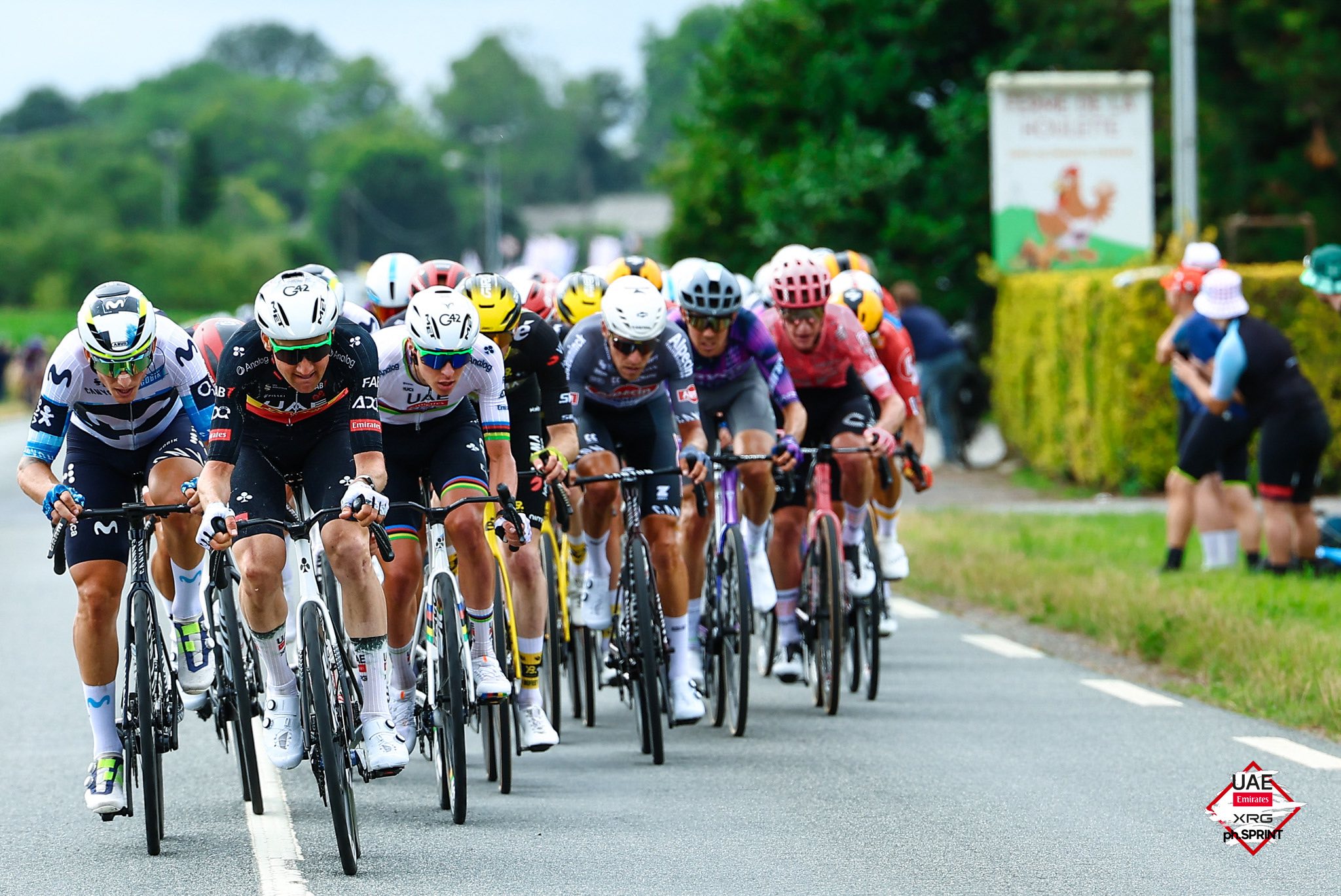 Tim Wellens má za roky dřiny poprvé belgický mistrovský dres