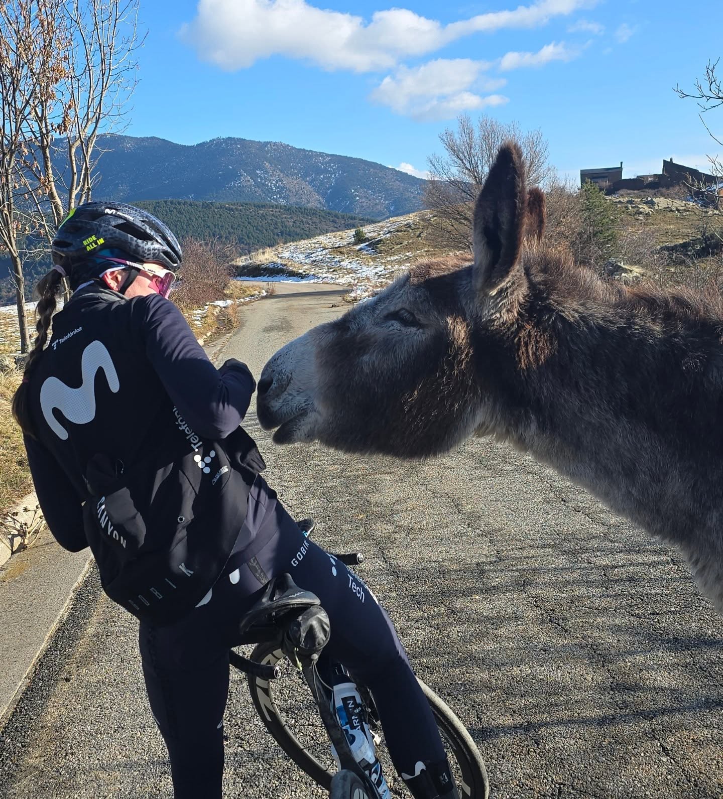 Chce si jen čuchnout