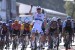 Tim Merlier vyhrál hravě Scheldeprijs