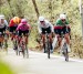 Dřina v kopci na Trofeo Binda